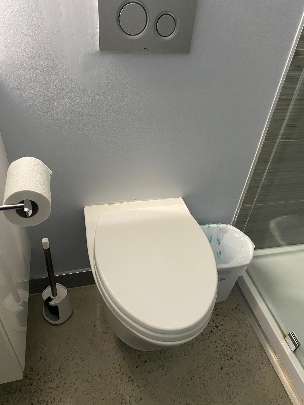 Toilet Repair & Installation
